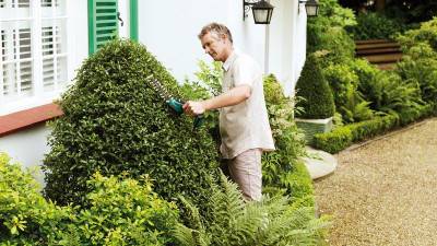 Будкрам купити Ножиці для трави та кущів ASB 10,8 LI Ножиці для трави та кущів ASB 10,8 LI 2